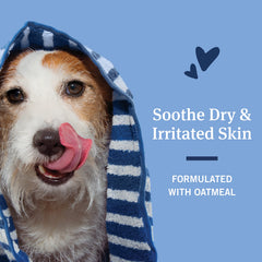 PetArmor application sur chien pendant le bain pour éliminer puces et saletés