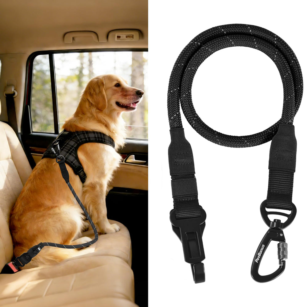 PetBonus vue de face de la ceinture montrant design et adaptabilité