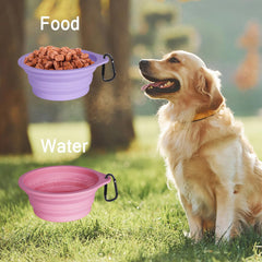 PetBonus gamelle en usage randonnée hydratation pratique pour chien
