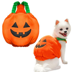 Petcare costume citrouille avant montrant coupe et look festif