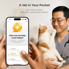 Petcube Cam 360 zoom montrant détail d'une litière ou gamelle pour suivi d'activité