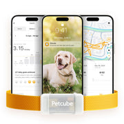 Petcube traceur GPS face avant montrant design robuste et praticité