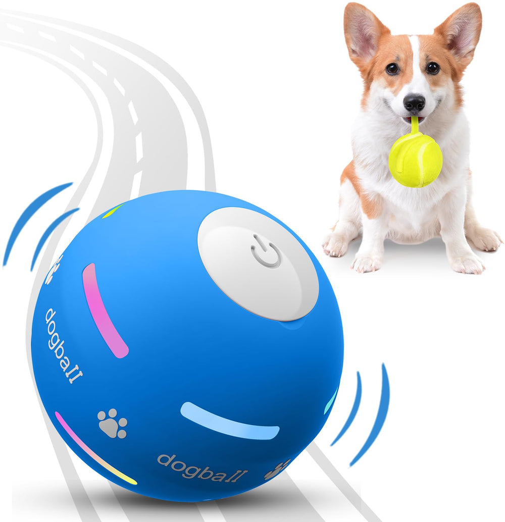 PetDroid balle face avant montrant la forme et l’aspect durable pour jeu actif