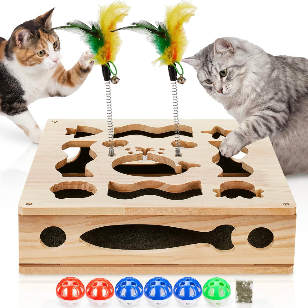 PETFUN boîte lime vue de face montrant le design solide et l'accès facile