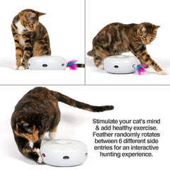 PetFusion Ambush en action avec rotation démontrant stimulation de chasse