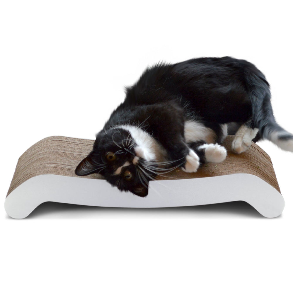 PetFusion grattoir face avant montrant la courbe et allure moderne
