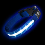 PetIsay collier LED vue avant montrant bande lumineuse bleue et sécurité