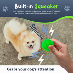 Petite Paws chiot tenant balle, stimulation et amusement