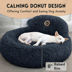 PetJett lit utilisé par un chien allongé montrant confort et relaxation