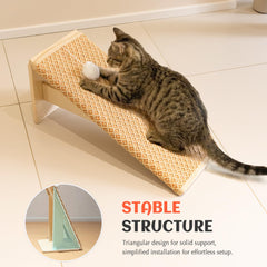 PETKARAY balle en peluche intégrée stimule jeu du chat