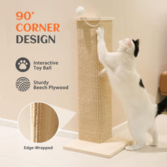 PETKARAY balle suspendue en action stimulant le jeu du chat