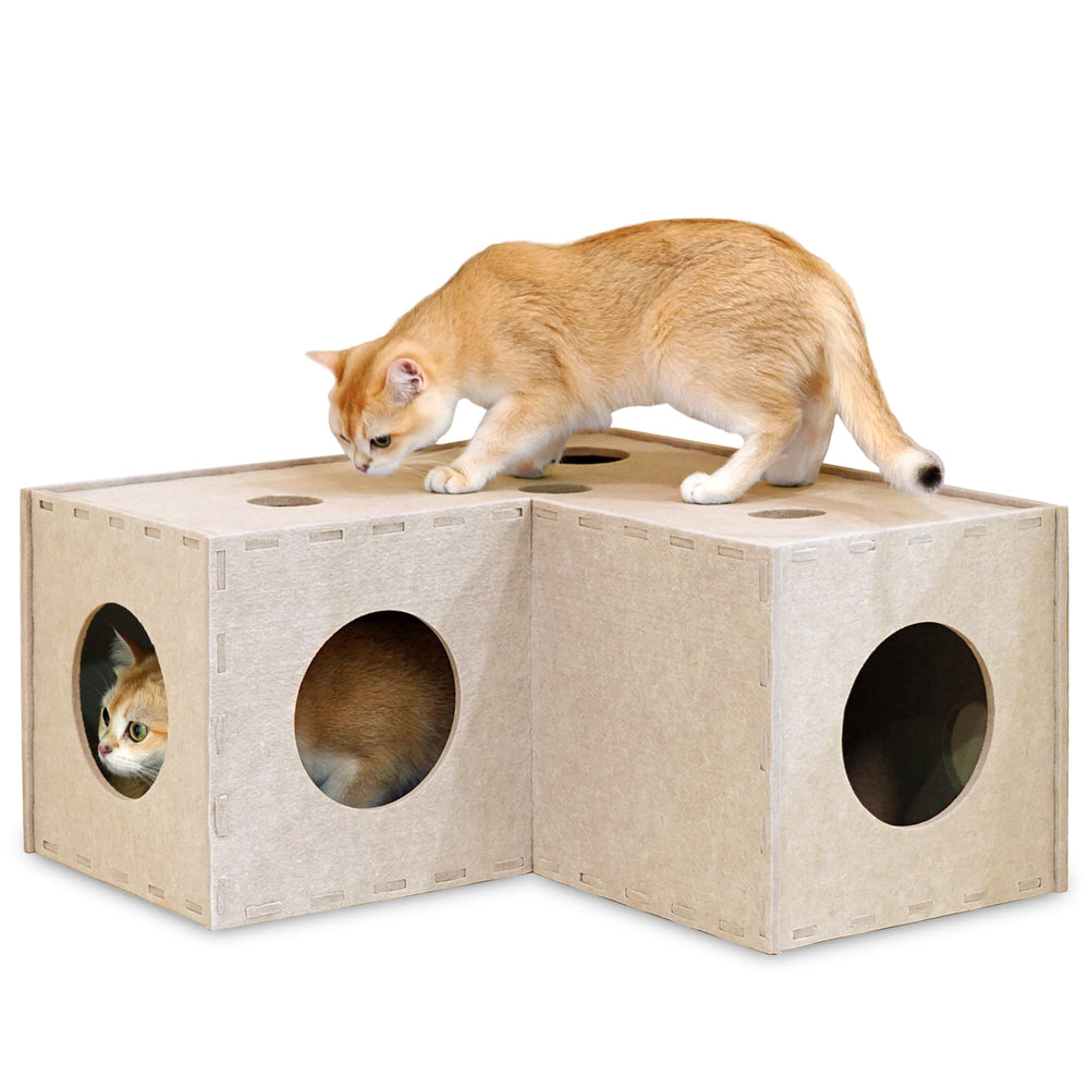 PETKARAY tunnel face avant beige montrant ouverture et design, stimule jeu