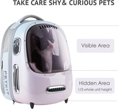 PETKIT lampe intégrée allumée offrant visibilité nocturne et sécurité