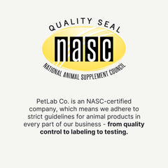 PetLab Co comprimé mou vu de près montrant la texture agréable et appétente