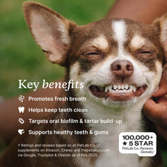 Scoop doseur PetLab Co. ProBright illustrant un dosage précis et simple