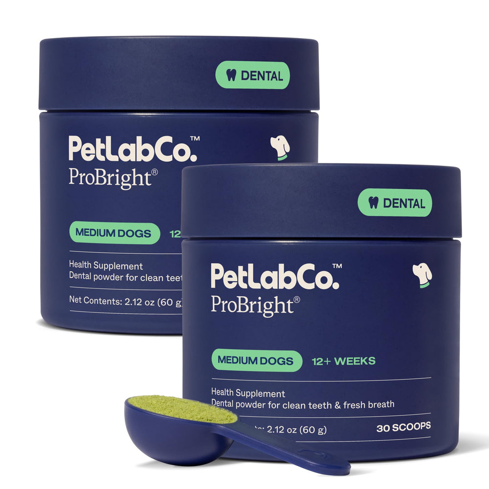 PetLab Co. pot ProBright en vue frontale montrant l’emballage et l’utilité