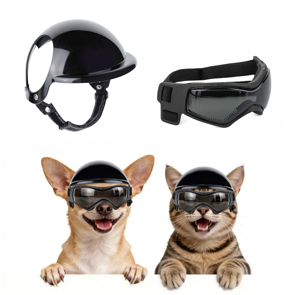 PETLESO casque devant montrant protection et confort