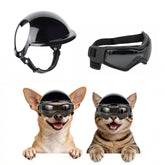 PETLESO casque devant montrant protection et confort