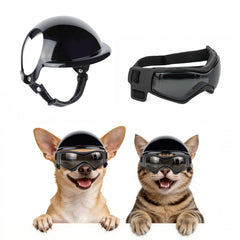 PETLESO casque devant montrant protection et confort