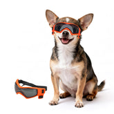 PETLESO face avant du produit montrant la monture orange et le design adaptatif