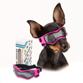PETLESO lunettes pour chiens vue frontale, protection et style