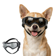 PETLESO lunettes frontal montrant maintien et style protecteur