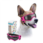 PETLESO face avant des lunettes medium, protection visible