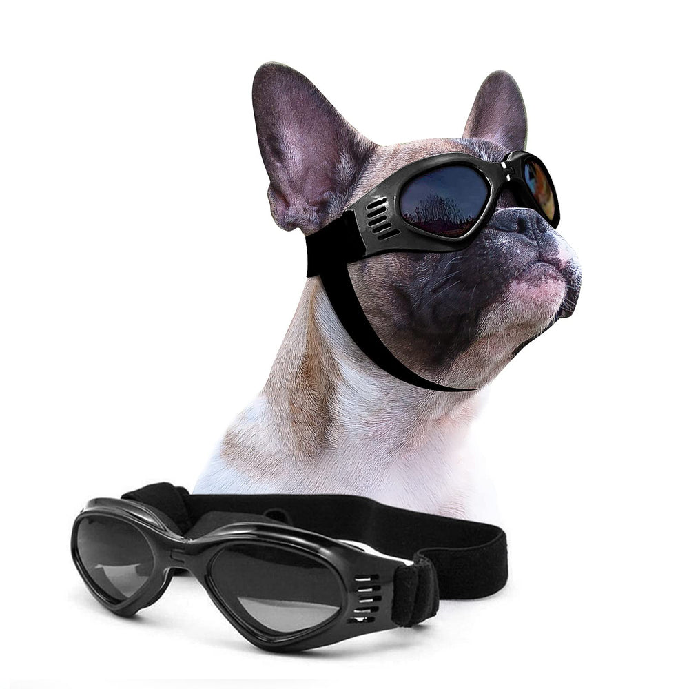 PETLESO lunettes face avant montrant une protection complète des yeux