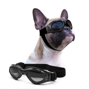PETLESO lunettes face avant montrant une protection complète des yeux