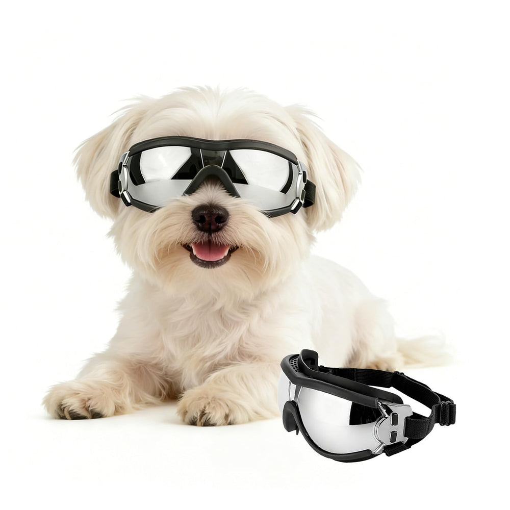 PETLESO lunettes face avant montrant ajustement et protection