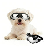 PETLESO lunettes face avant montrant ajustement et protection