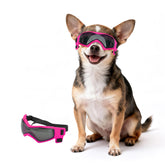 PETLESO lunettes face emballage rose montrant produit et couleur attrayante