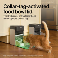 PETLIBRO gamelle inox détachable facilitant nettoyage et hygiène quotidienne