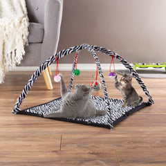 PETMAKER tapis en usage avec chat jouant et se reposant améliorant activité