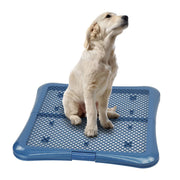 petphabet plateau vue face montrant maintien du tapis et protection du sol