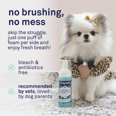 Petpost application en main démontrant l’usage simple et sans brosse
