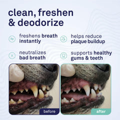 Petpost bouteille côté illustrant le design compact et prise en main facile
