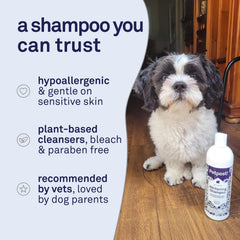 Petpost détail ingrédients aloe et noix de coco pour apaiser