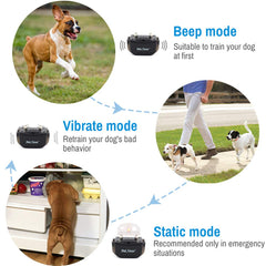 Petrainer PET998DRB1 récepteur avec sangle ajustable pour confort et maintien