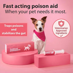 PetResQ administration sur chien pour aide digestive d’urgence rapide