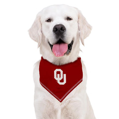 Chiot portant bandana Pets First Oklahoma Sooners, montre fierté d'équipe