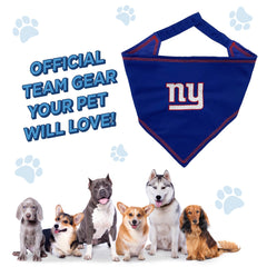 Pets First bandana portée par chien lors d’un jour de match, esprit d’équipe