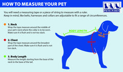 Pets First gros plan sur les rayures de manche, design sportif visible et attrayant
