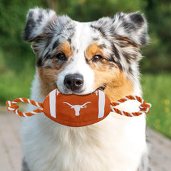 Pets First gros plan de la texture nylon robuste pour longévité et résistance