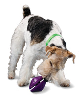 PetSafe vue avant du jouet durable stimulant l'intérêt