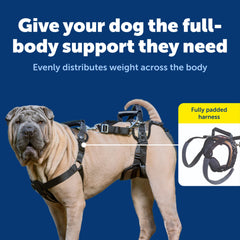 PetSafe vue de profil illustrant ajustements et sangle de levage sûrs