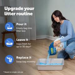 PetSafe chat utilisant la litière pour confort et propreté domestique