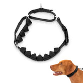 PetSafe collier avant montrant le design et bénéfice contrôle doux