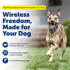 PetSafe collier récepteur profil étanche offrant sécurité et confort