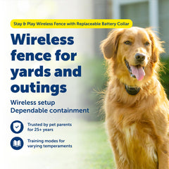 PetSafe collier récepteur profil détaillé garantissant confort et ajustement